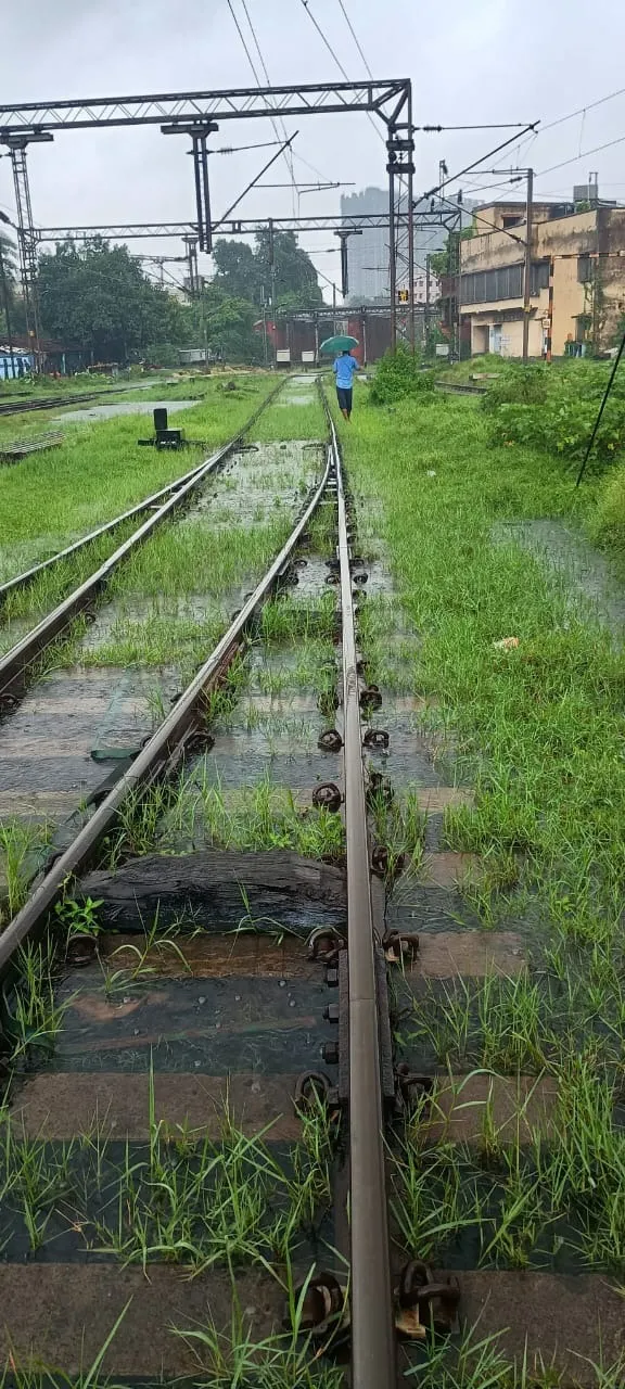 WhatsApp Image 2025-07-08 at 10.13.33