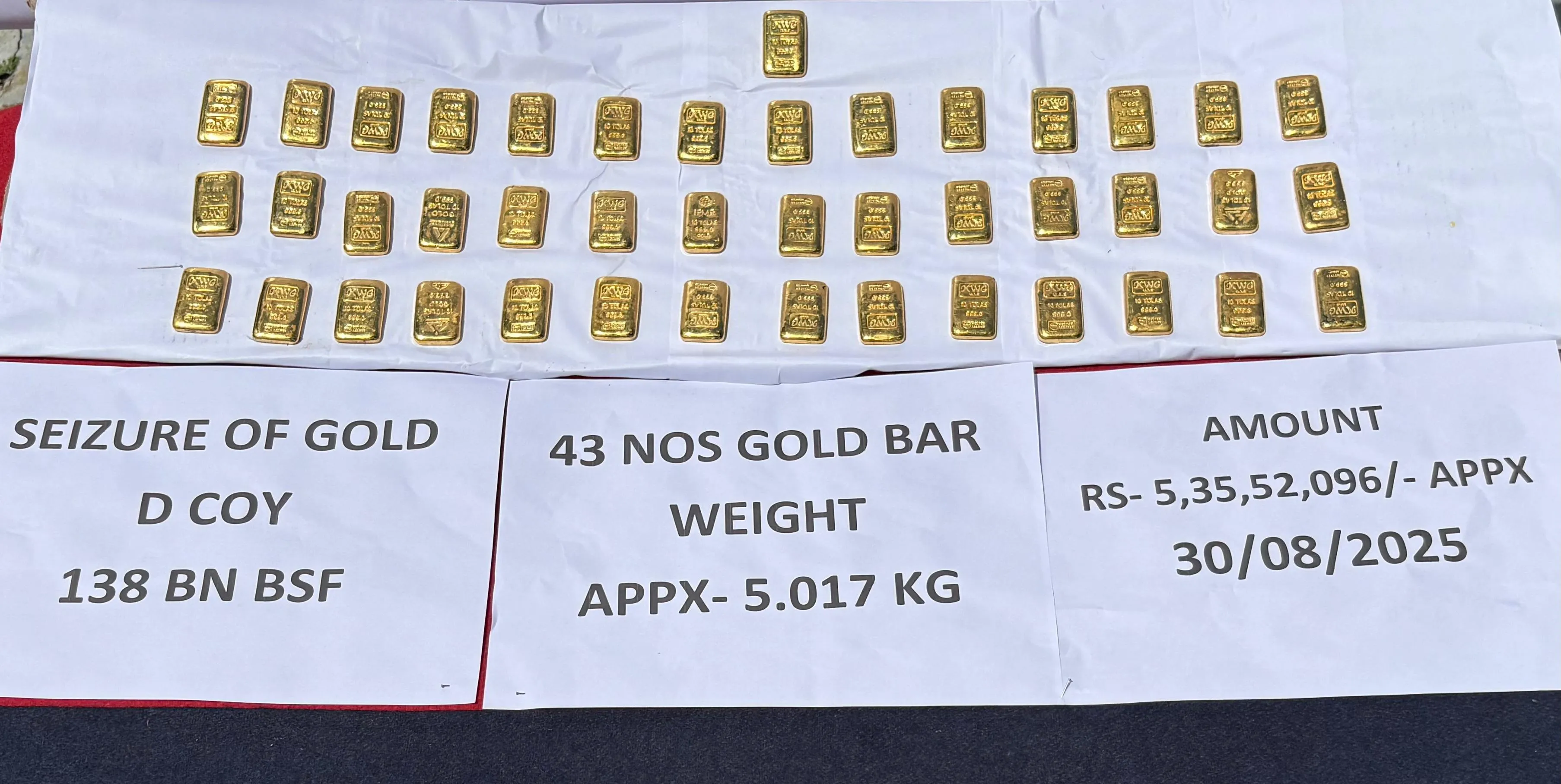 WhatsApp Image 2025-09-01 at 2.11.15 PM