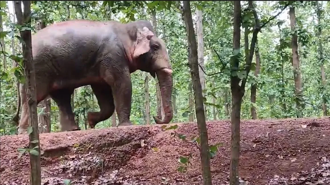 WhatsApp Image 2025-10-08 at 6.23.52 PM