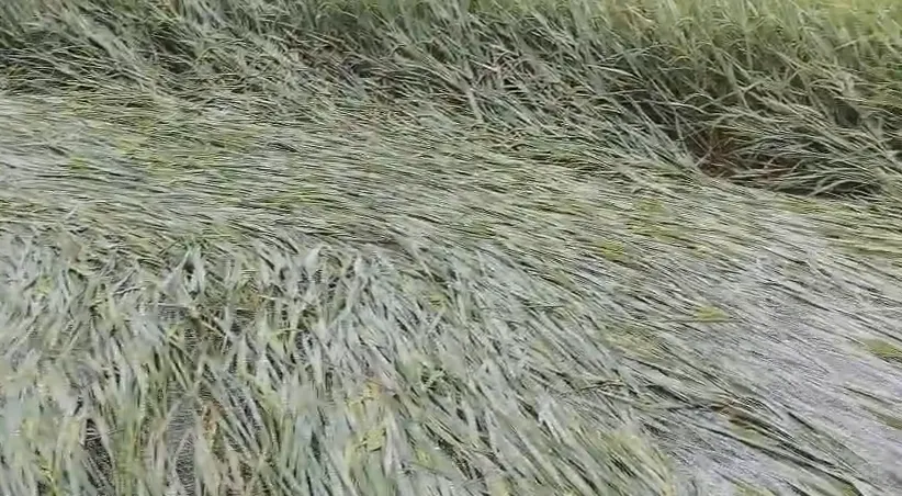 Screenshot 2025-10-31 212910