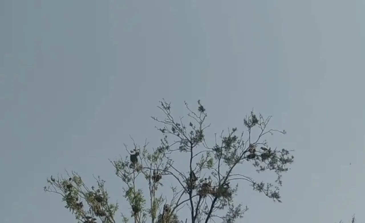 WhatsApp Image 2025-11-12 at 3.18.58 PM