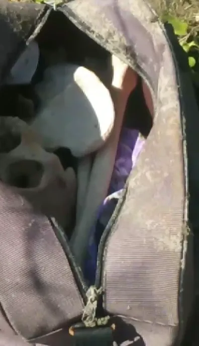 Screenshot 2025-11-19 133226