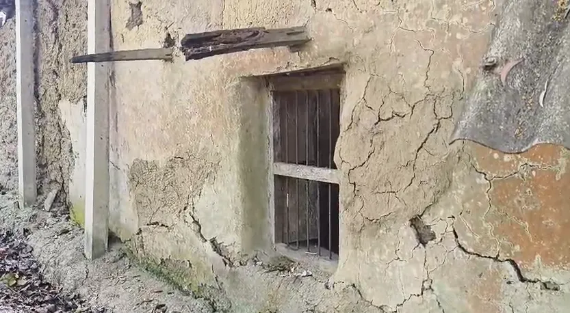 Screenshot 2025-11-20 170451