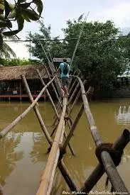 bamboo bridge
