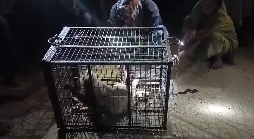 Screenshot 2025-12-03 094502