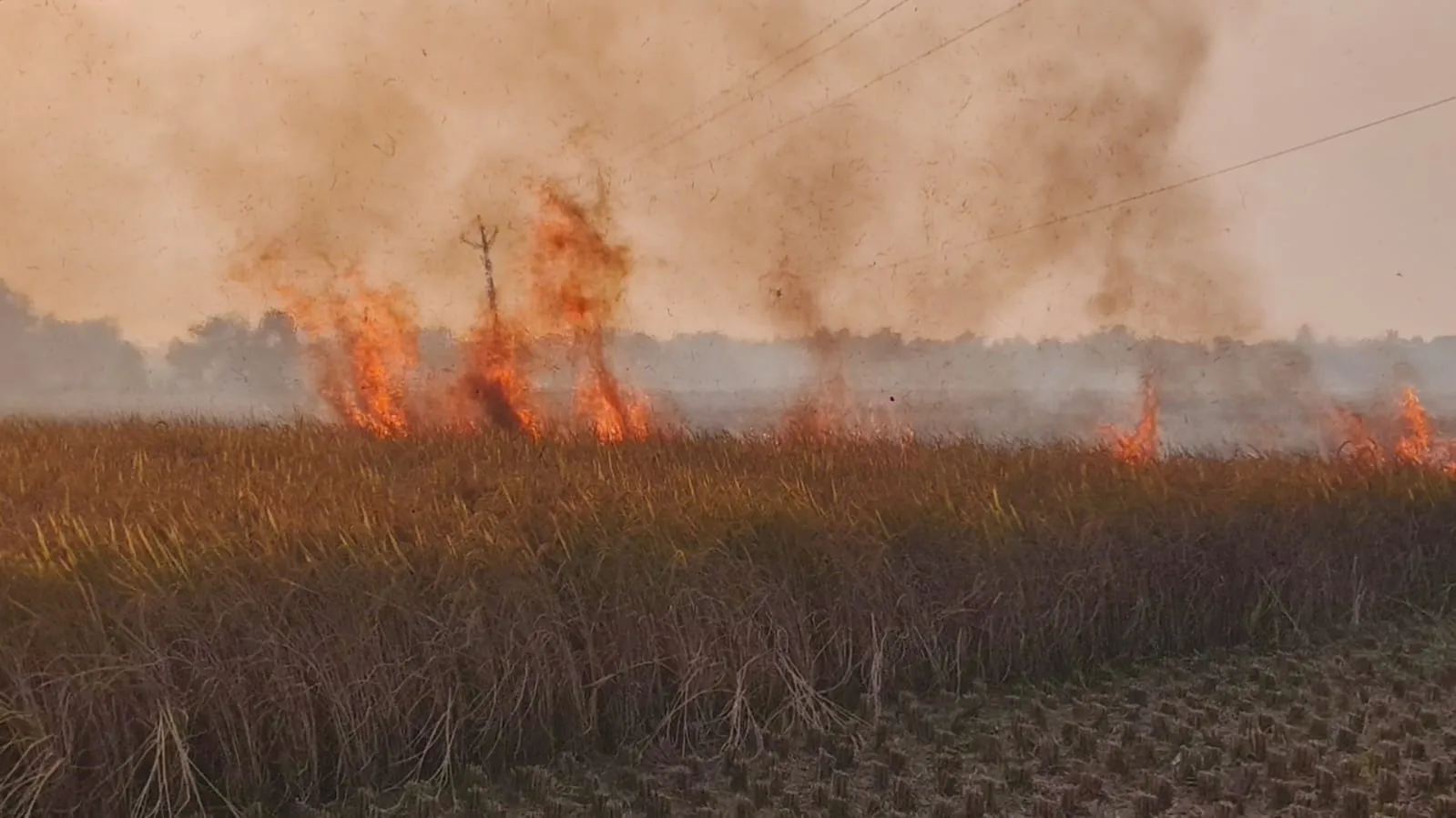 WhatsApp Image 2025-12-06 at 4.43.59 PM