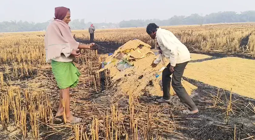 Screenshot 2025-12-08 164225