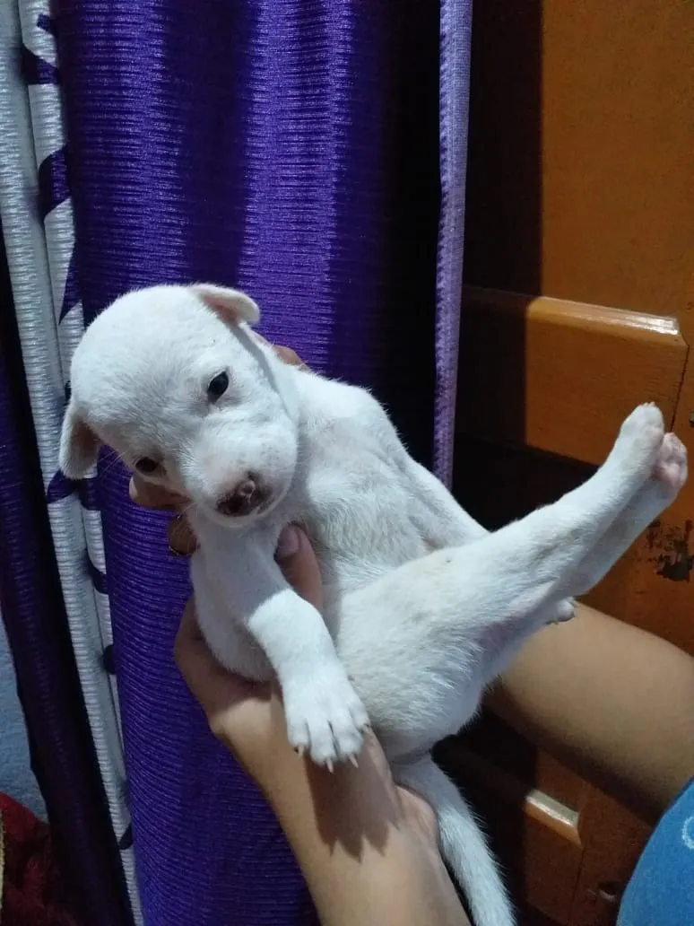 WhatsApp Image 2025-12-08 at 2.53.35 PM