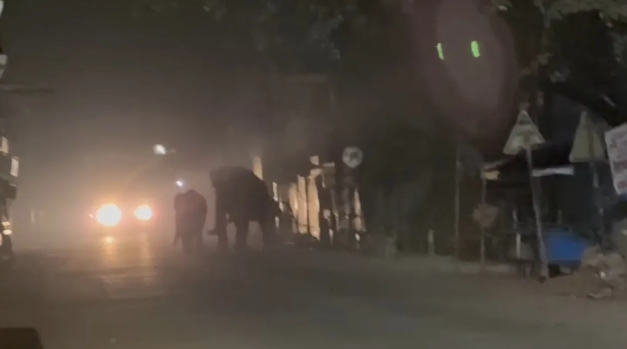 WhatsApp Image 2025-12-09 at 4.43.22 PM