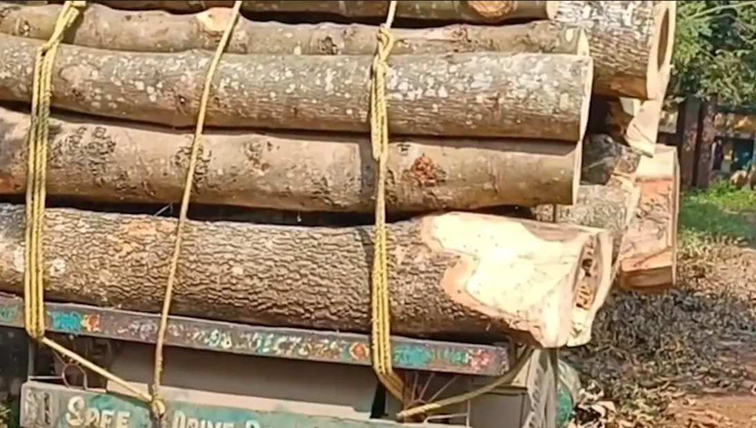 WhatsApp Image 2025-12-11 at 5.53.15 PM