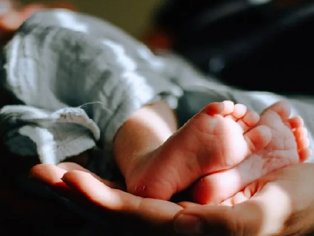 baby7