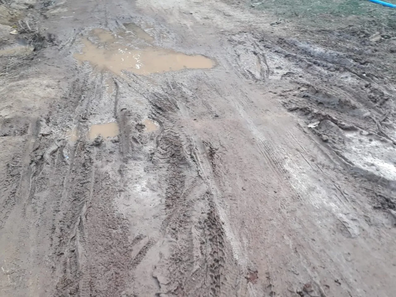 bad road.jpg
