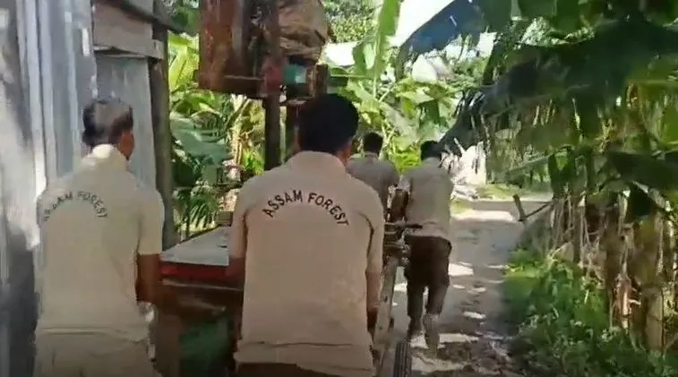 Capturedsdsddd