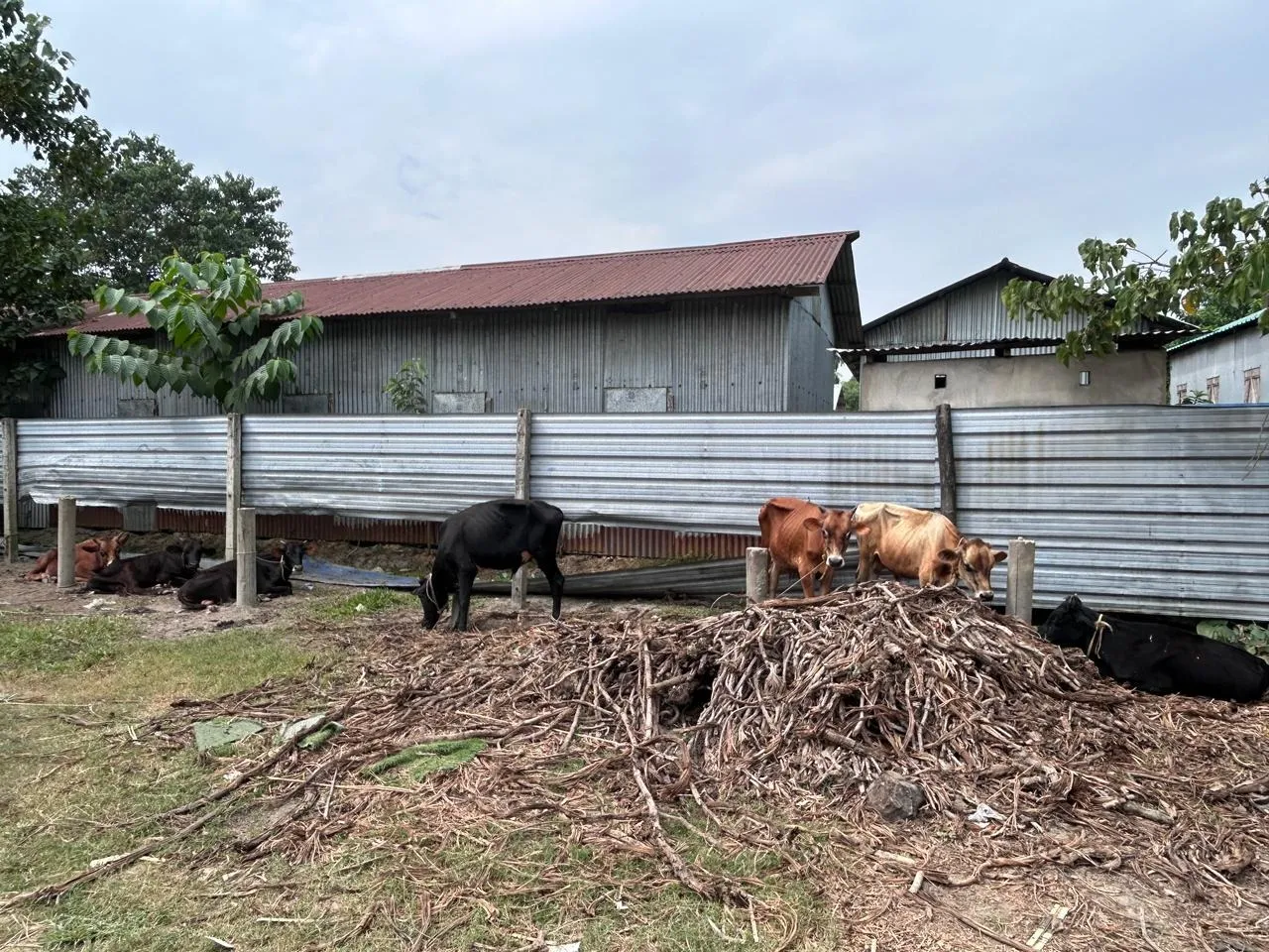 WhatsApp Image 2025-10-29 at 5.28.21 PM