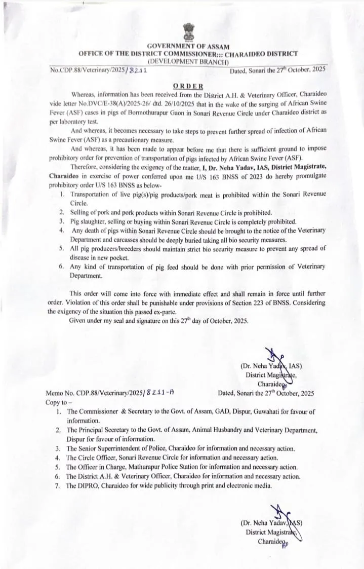 WhatsApp Image 2025-10-29 at 12.10.30 PM