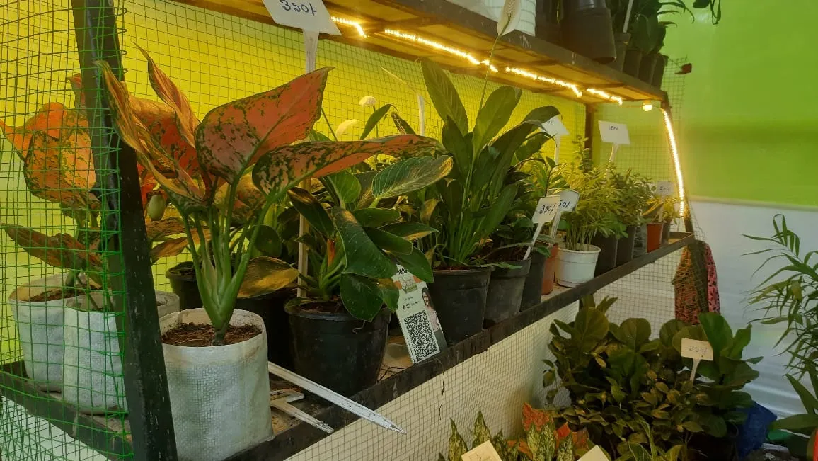 1b85f87d-2c40-4101-adfe-b75cdc1faaa0