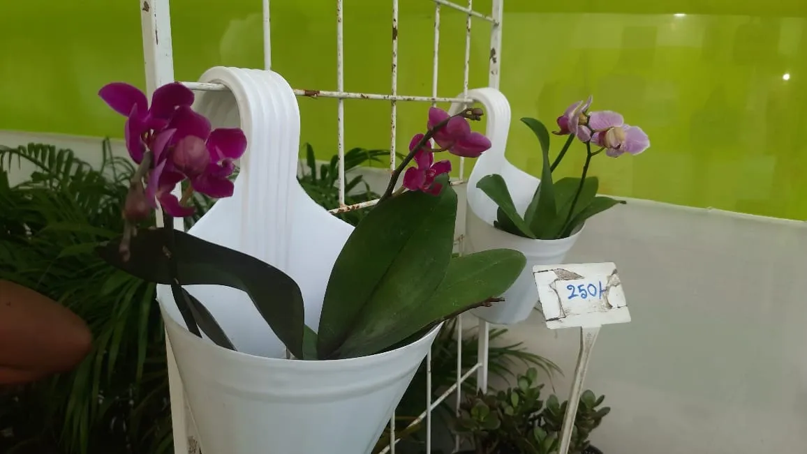 6fe8a389-b384-4d75-be92-c38bdf0676f2