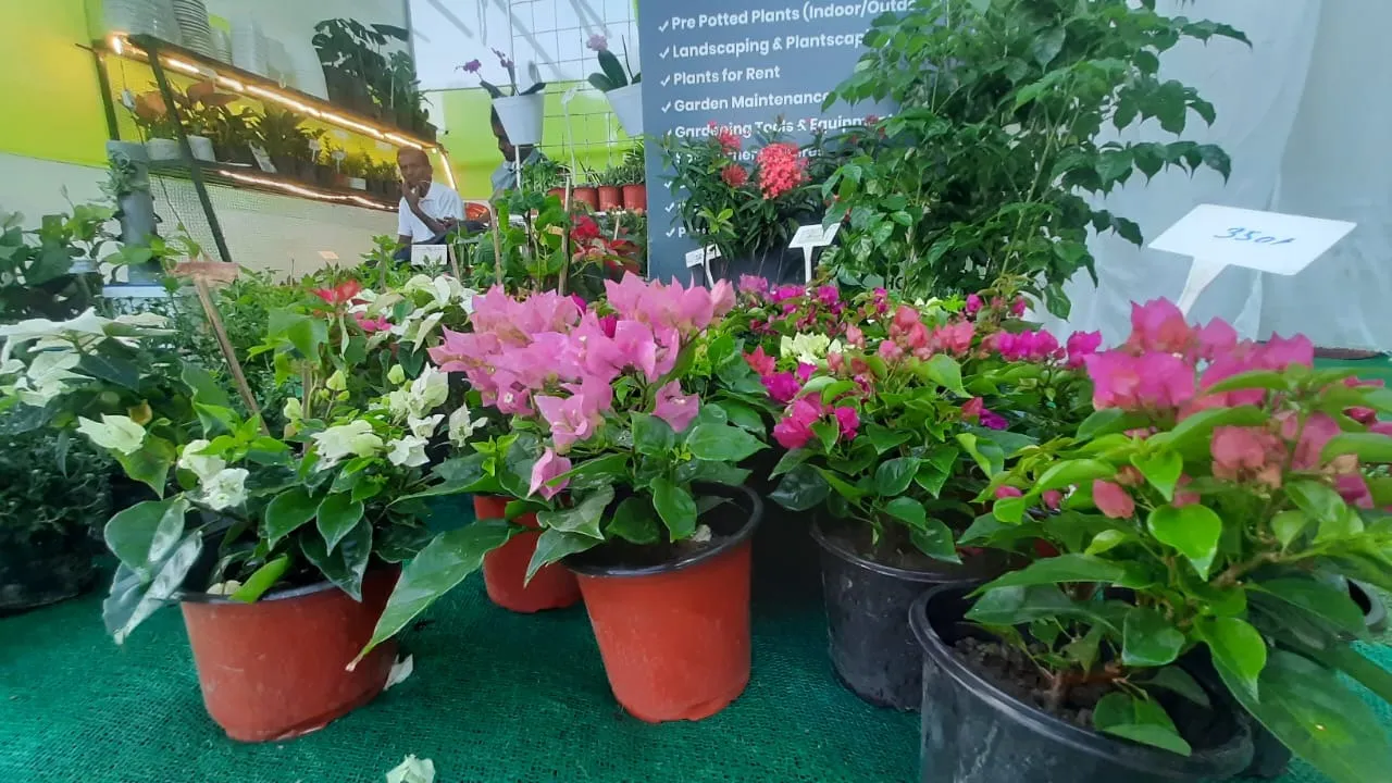 dc4c0bf9-834e-4a3d-87d8-25ef278b42c5