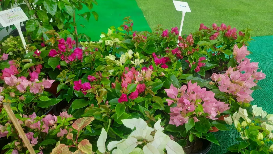 ee77efe5-baad-4c01-85d7-5c87dd59559e