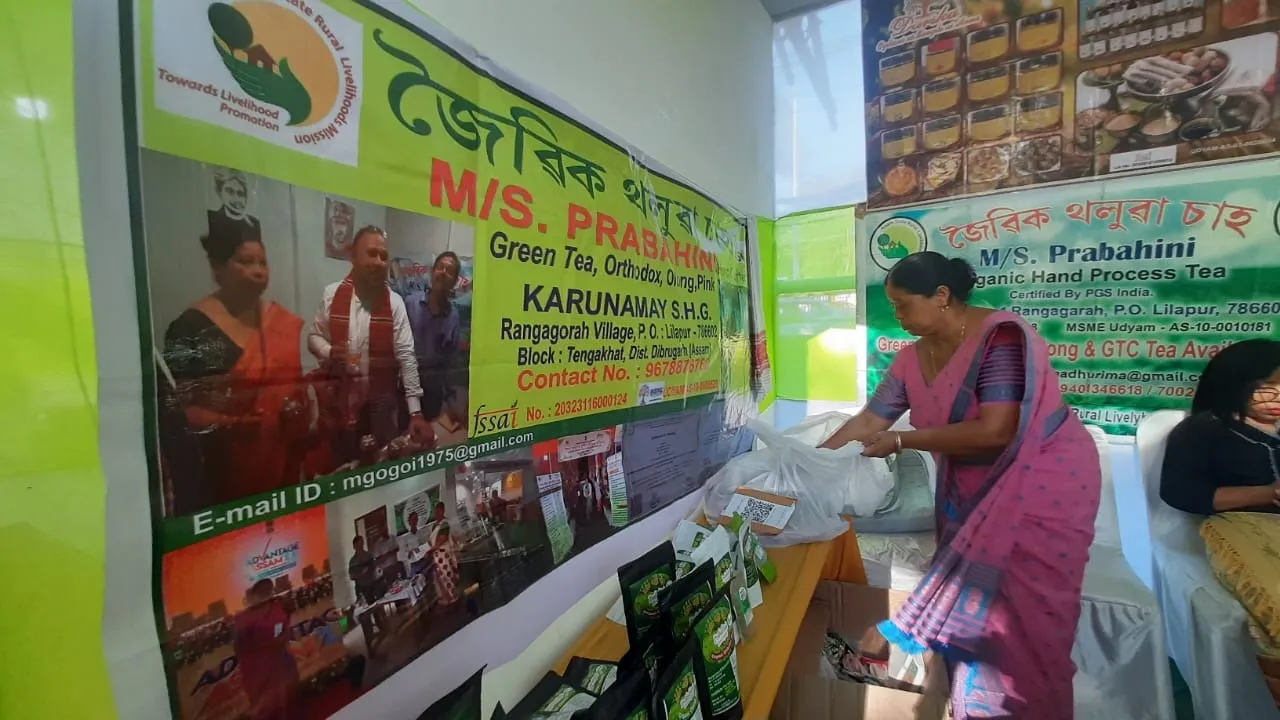 04c5252d-9a28-4d86-801b-545032267668