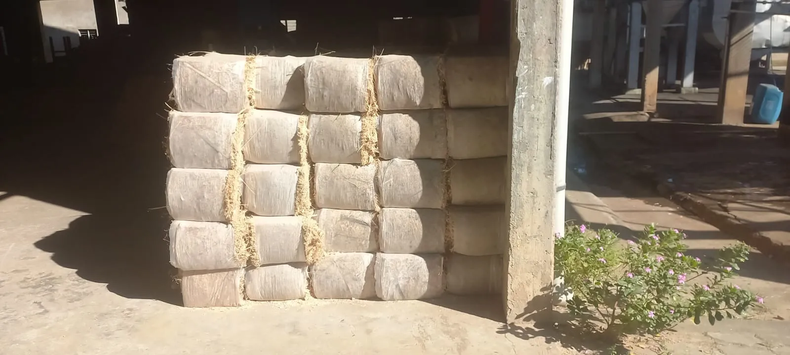 WhatsApp Image 2025-11-21 at 10.27.34 AM