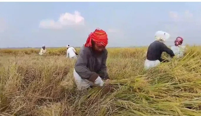 94281198-ba14-4b38-87da-0eaea59dcca2