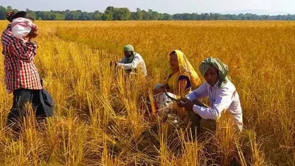 a95d6549-6b77-43c7-973b-bd8b7778ac4a