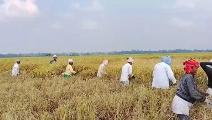 fb96c383-3b43-464a-a2da-85cea702bdb0