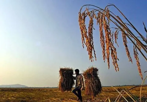 wpid-10502307_378803885631814_6186961656137509749_n