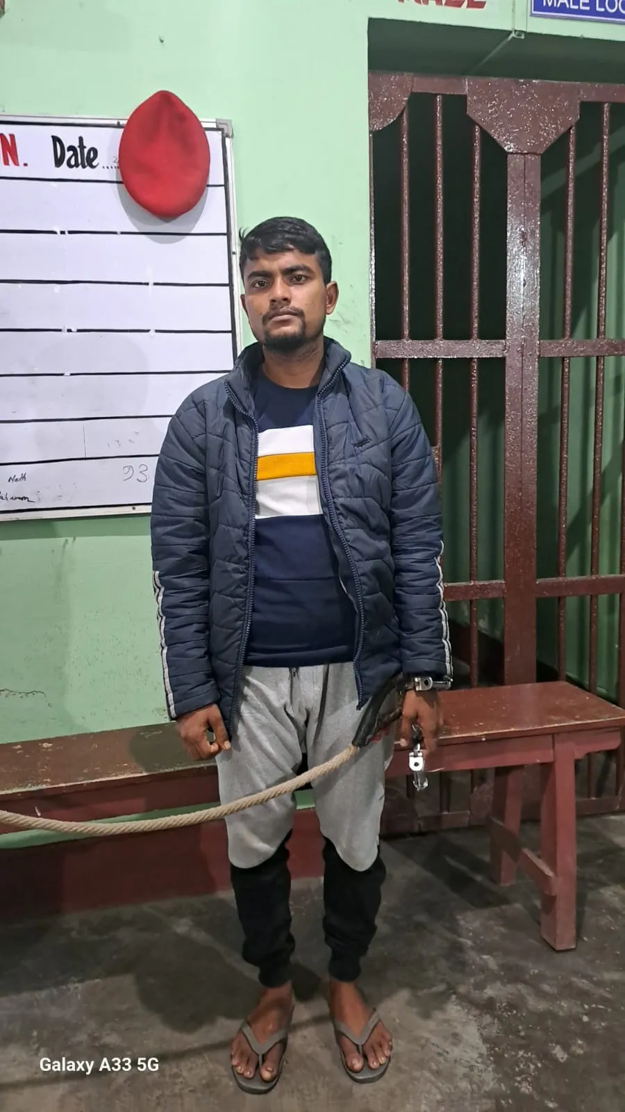 28274b42-b786-46c8-b146-588805e34248