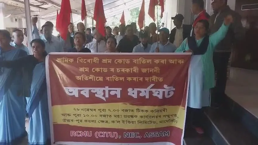 WhatsApp Image 2025-11-26 at 6.23.52 PM