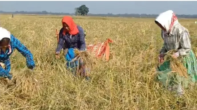 4362a7c7-03d6-4117-91c4-4325f8da88b7