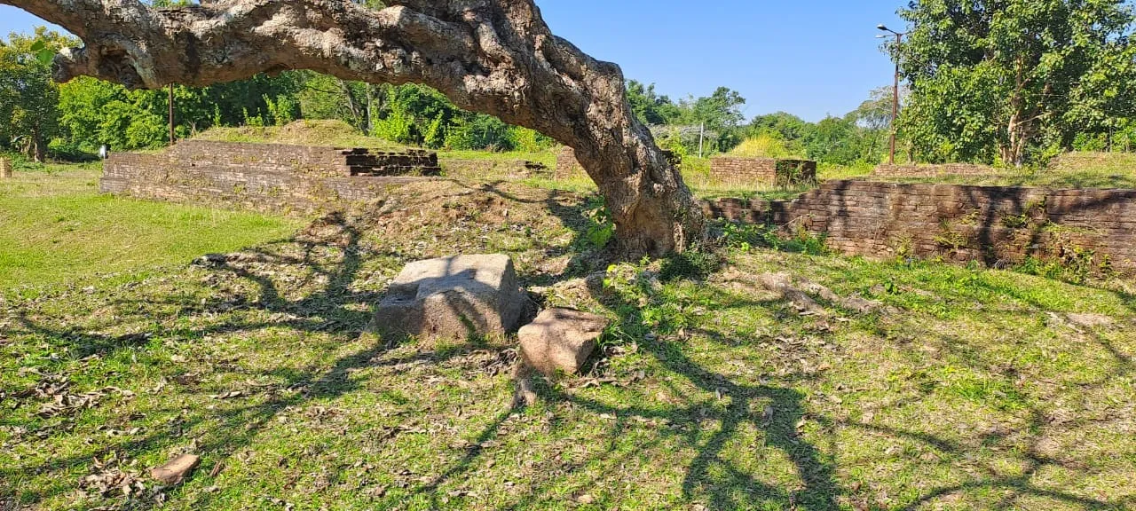 f25b34c2-6f58-4751-b92e-568ca8a6ef69