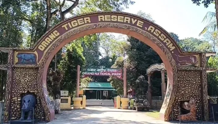 WhatsApp Image 2025-11-27 at 2.29.22 PM