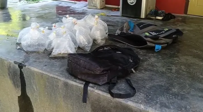 WhatsApp Image 2025-11-27 at 2.29.54 PM