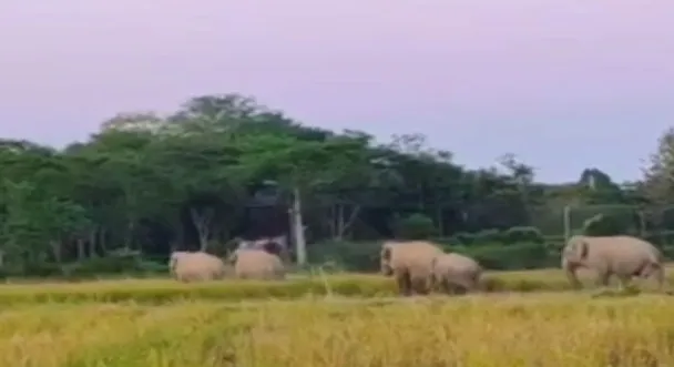 WhatsApp Image 2025-11-27 at 2.58.41 PM