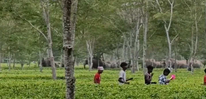 WhatsApp Image 2025-11-27 at 2.58.28 PM