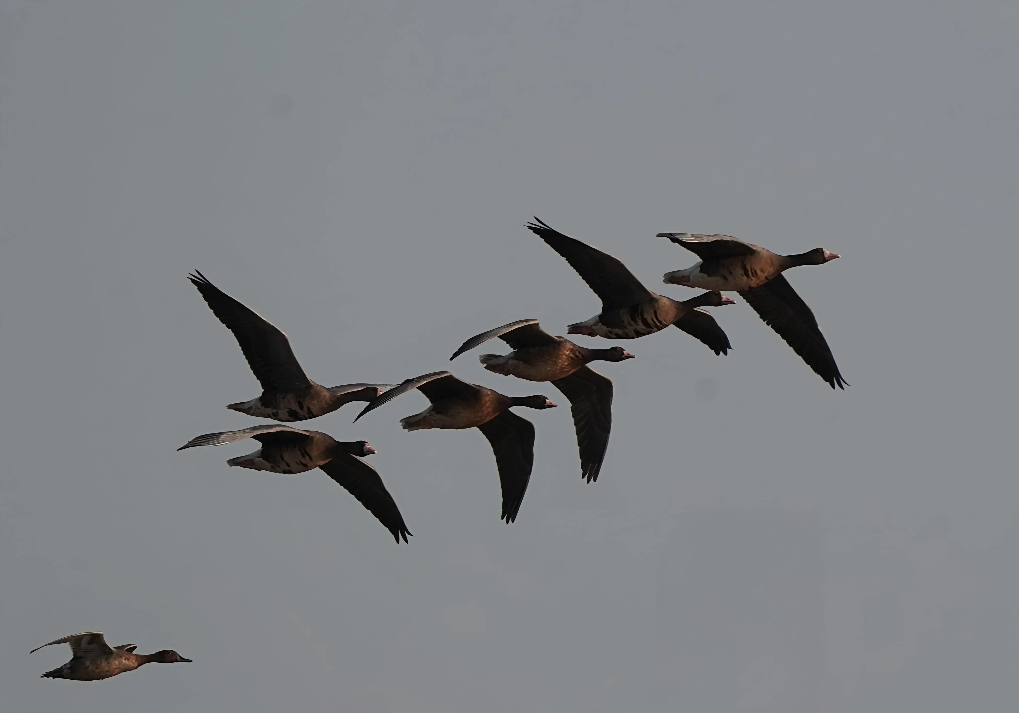 WhatsApp Image 2025-11-28 at 2.50.55 PM