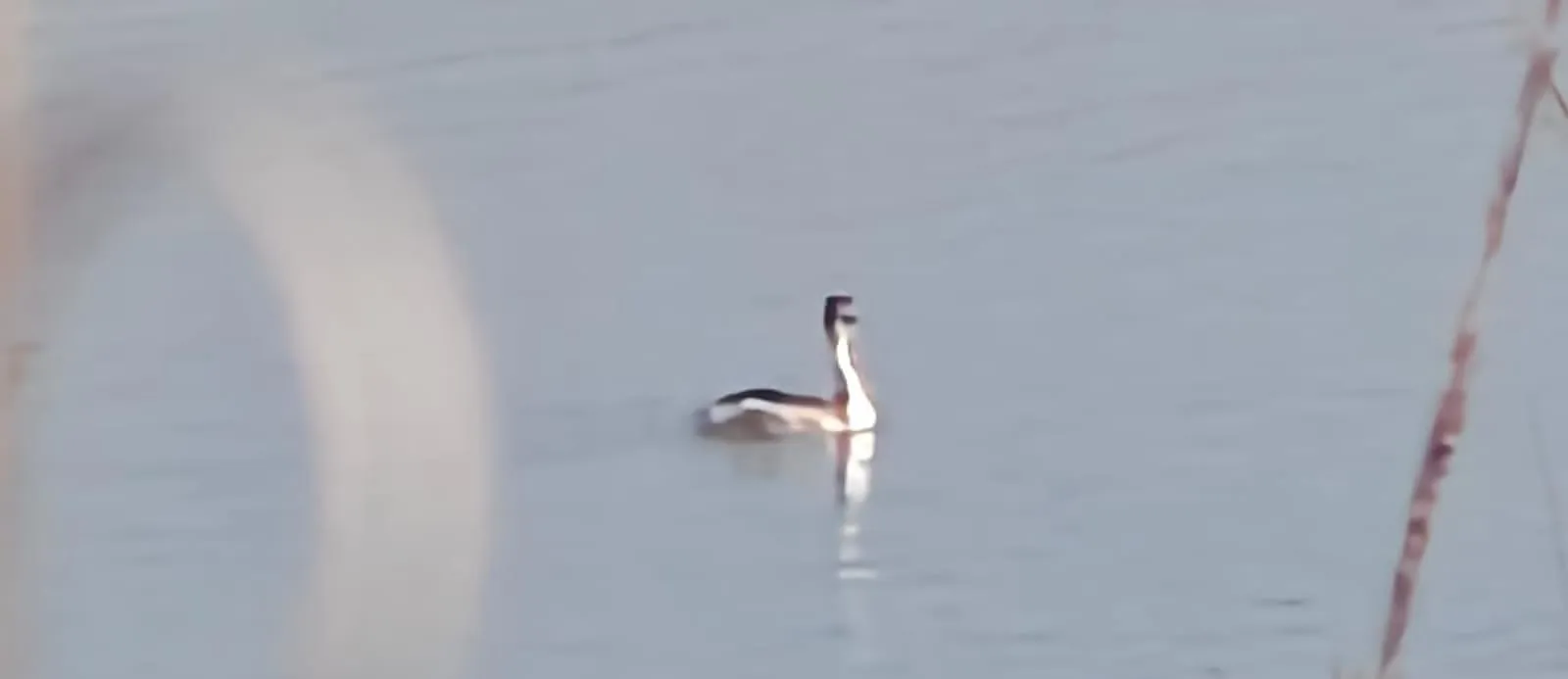 WhatsApp Image 2025-11-28 at 2.50.56 PM