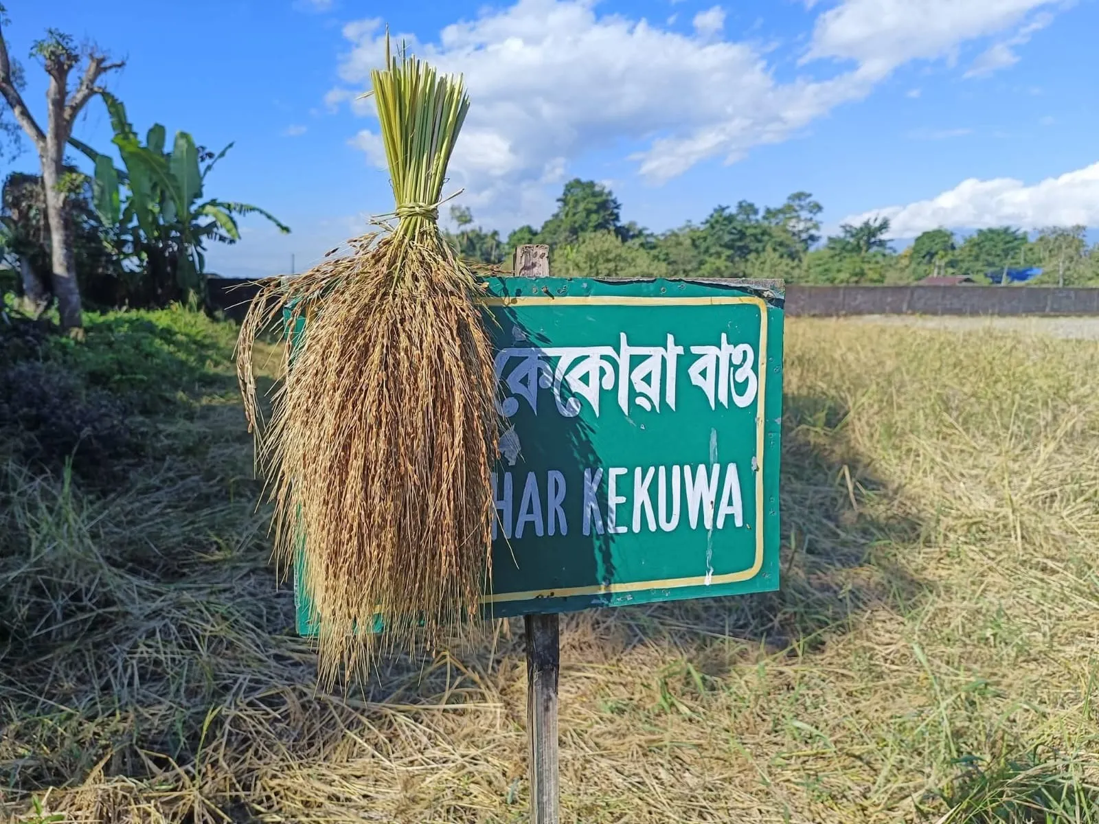 WhatsApp Image 2025-12-01 at 9.57.11 PM