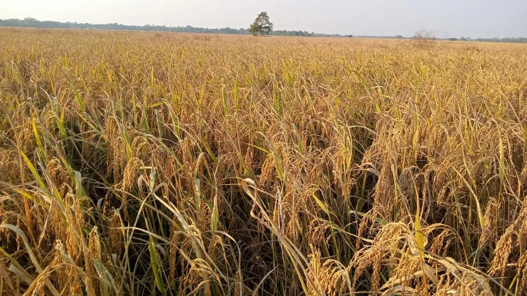 WhatsApp Image 2025-12-01 at 9.22.44 PM