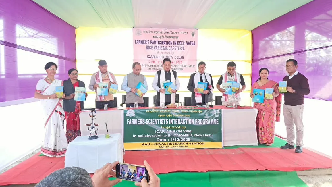 WhatsApp Image 2025-12-01 at 9.57.37 PM