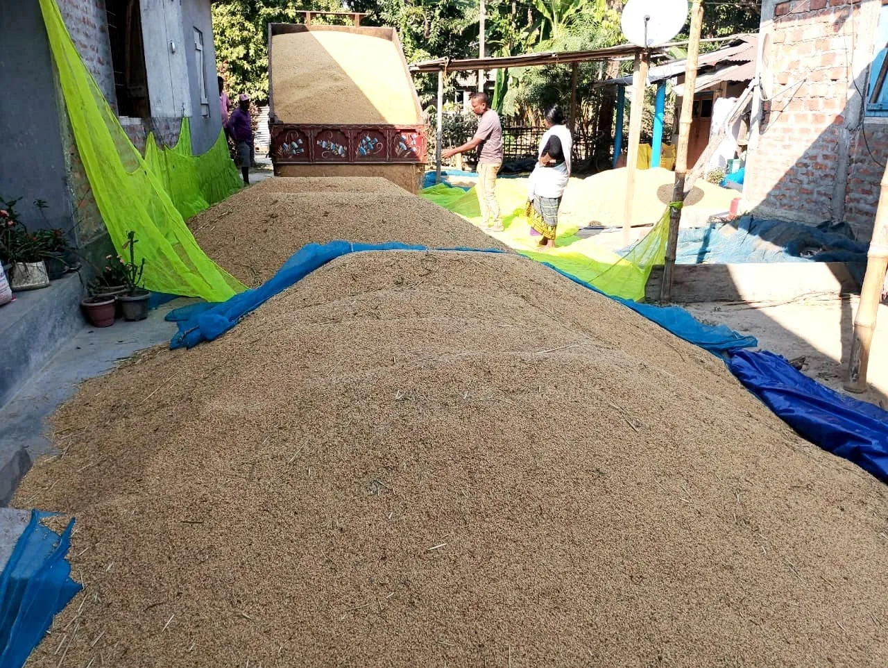 WhatsApp Image 2025-12-01 at 9.22.45 PM