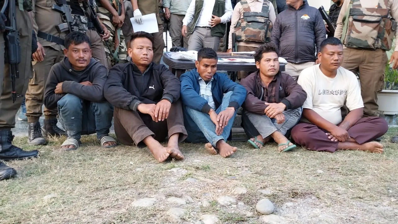 WhatsApp Image 2025-12-01 at 5.54.21 PM