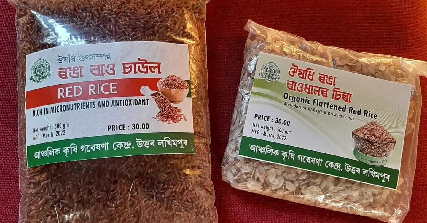 WhatsApp Image 2025-12-01 at 9.57.10 PM