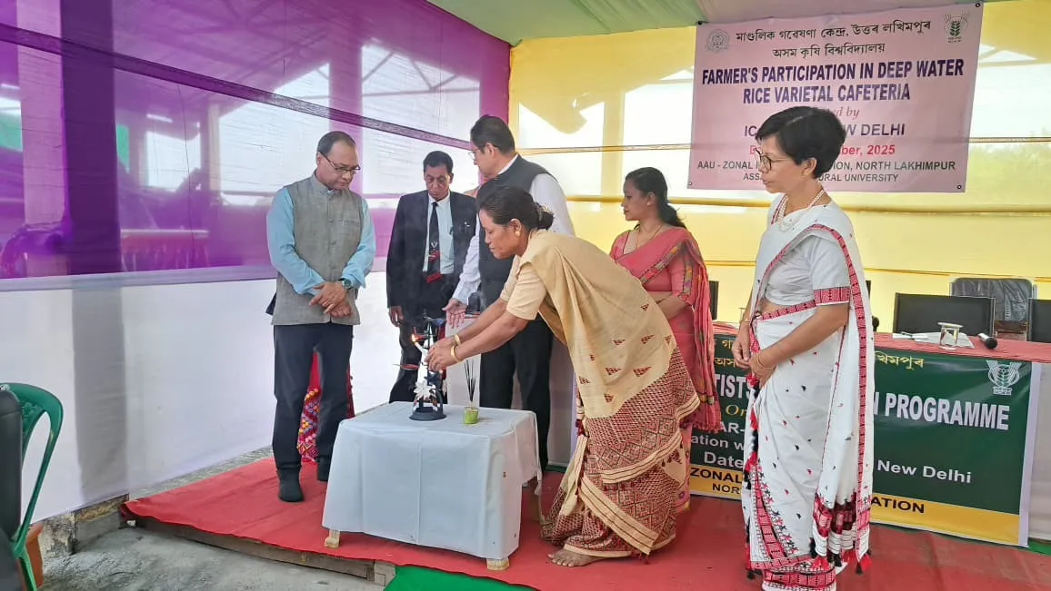 WhatsApp Image 2025-12-01 at 9.57.37 PM (1)