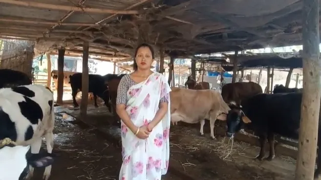 WhatsApp Image 2025-12-03 at 1.00.00 PM