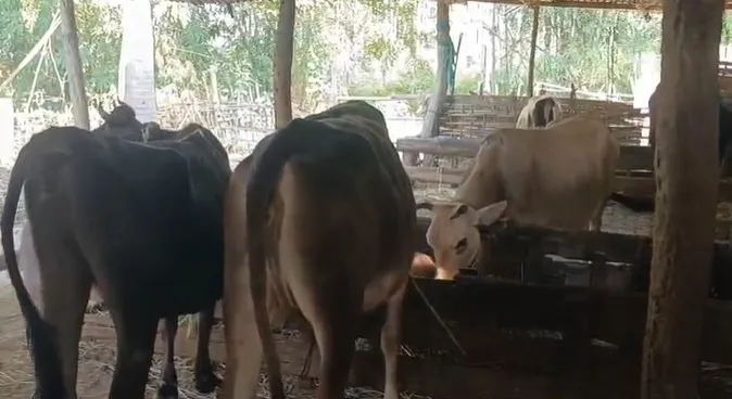 WhatsApp Image 2025-12-03 at 1.00.08 PM