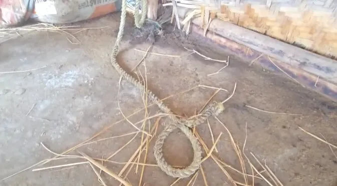 WhatsApp Image 2025-12-03 at 3.24.08 PM