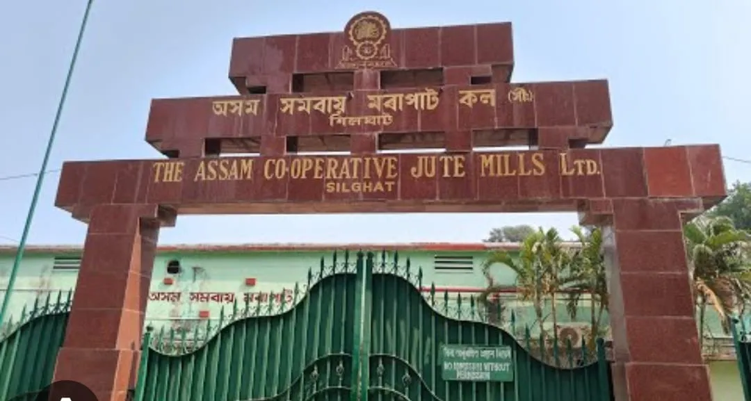 WhatsApp Image 2025-12-06 at 8.21.38 PM